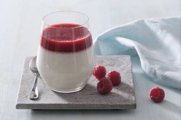 dossiers-e98-recettes-panna-cotta